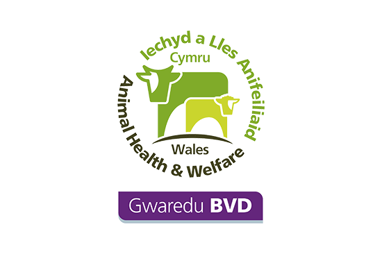Gwaredu BVD - Animal Health Welfare Wales logo